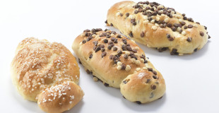 Coquille individuelle 