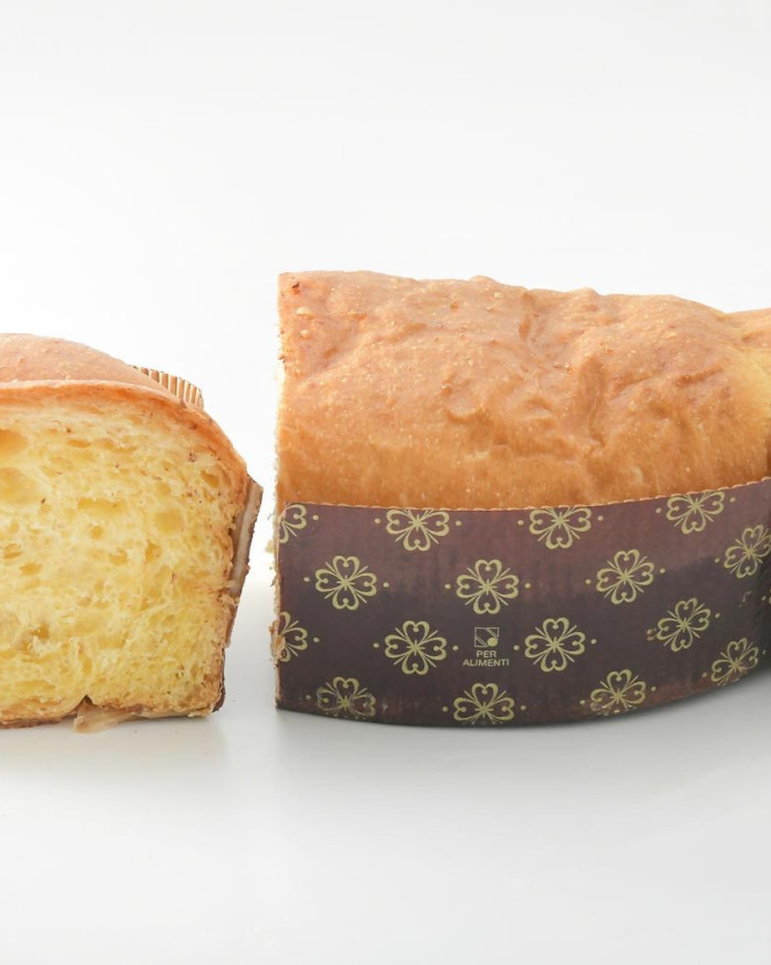 Grande coquille nature 